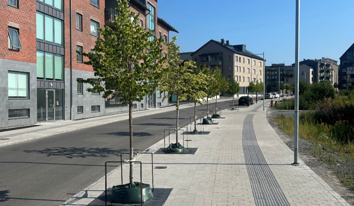Citypremix ger gröna stadsträd i Luleå