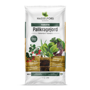 Pallkragejord