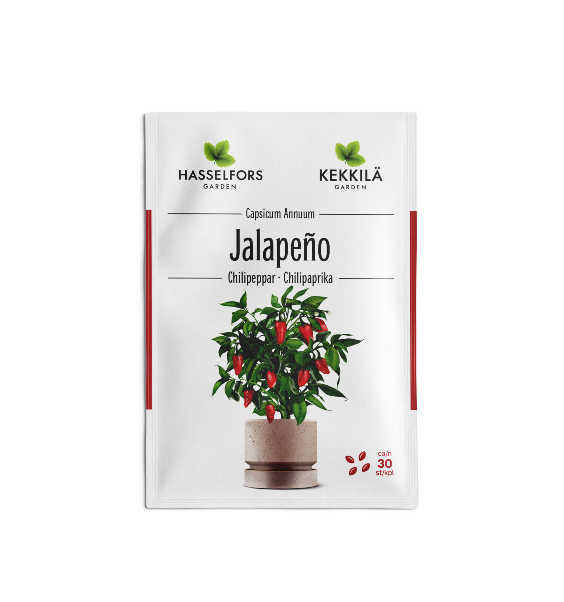 Chillipeppar Jalapeno frö