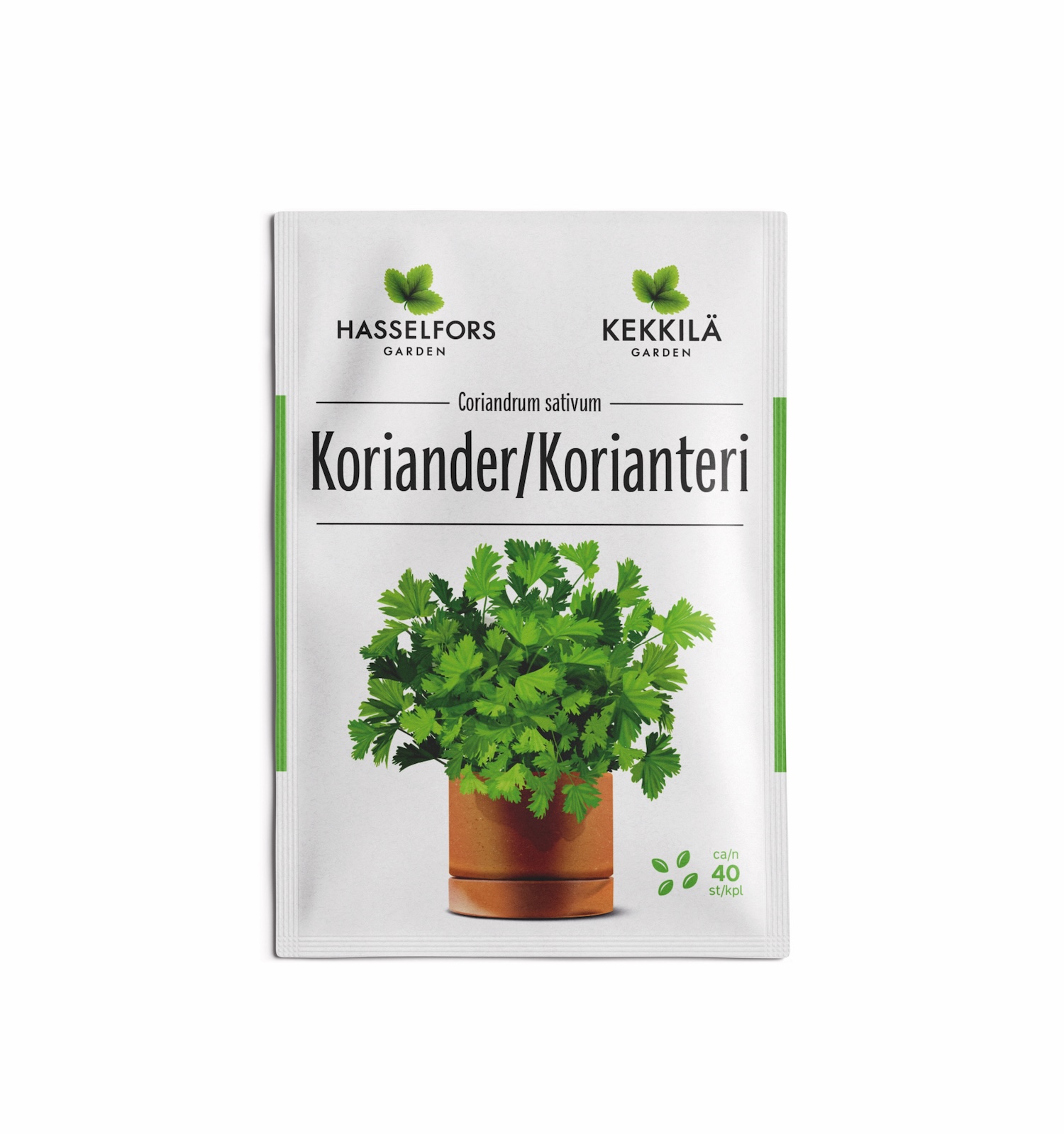 Koriander frö