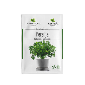 Bladpersilja frö