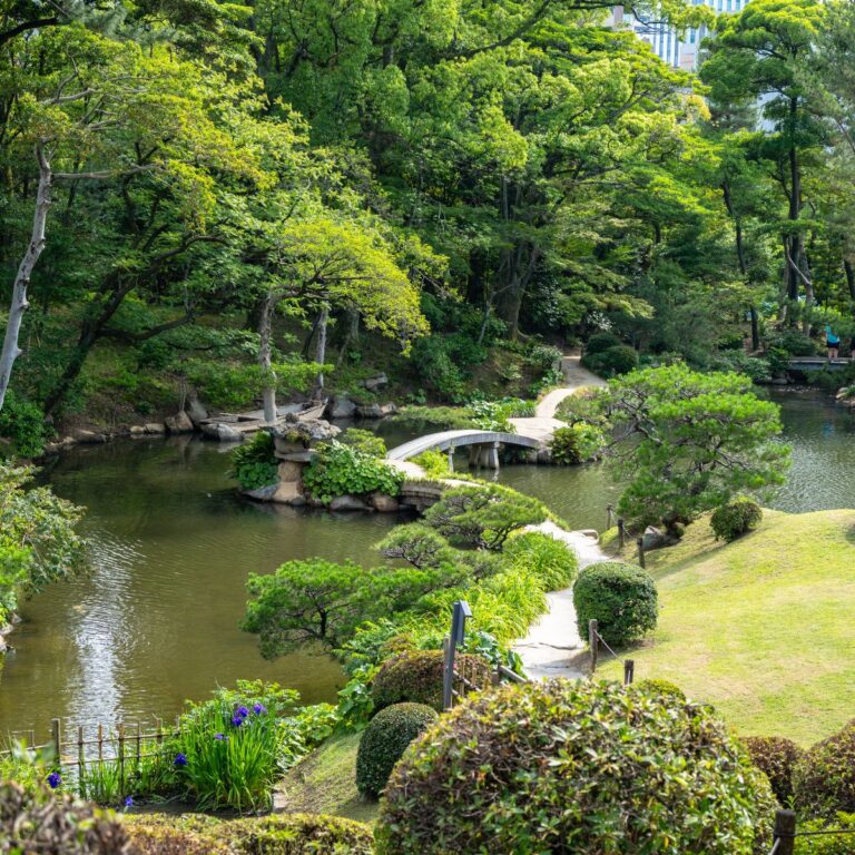 Den japanska trädgården
