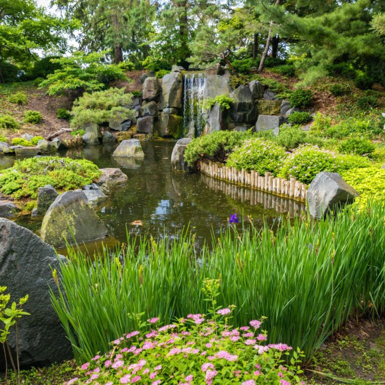 japanska trädgården