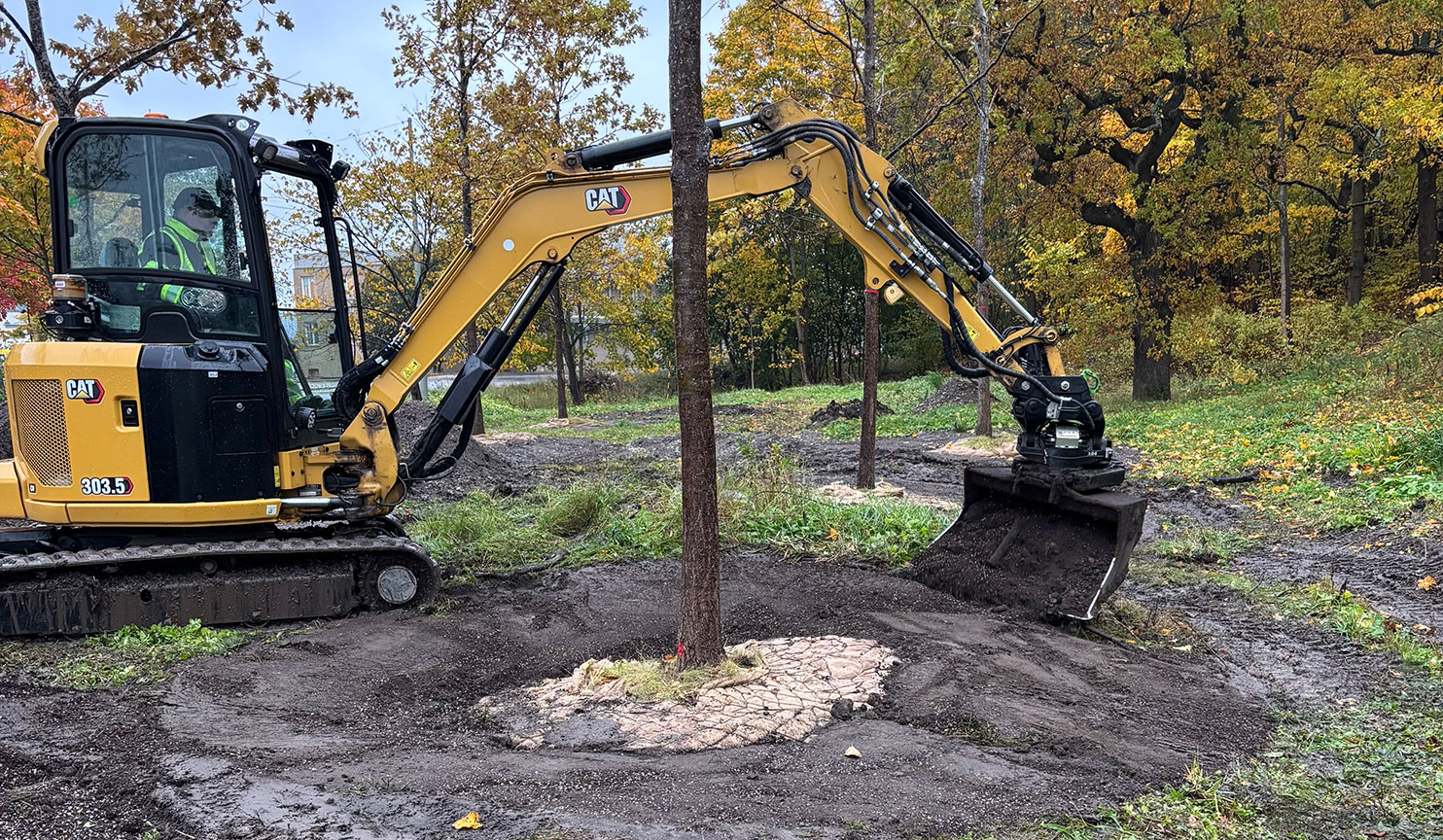 Gamla träd får nytt liv på Djurgården