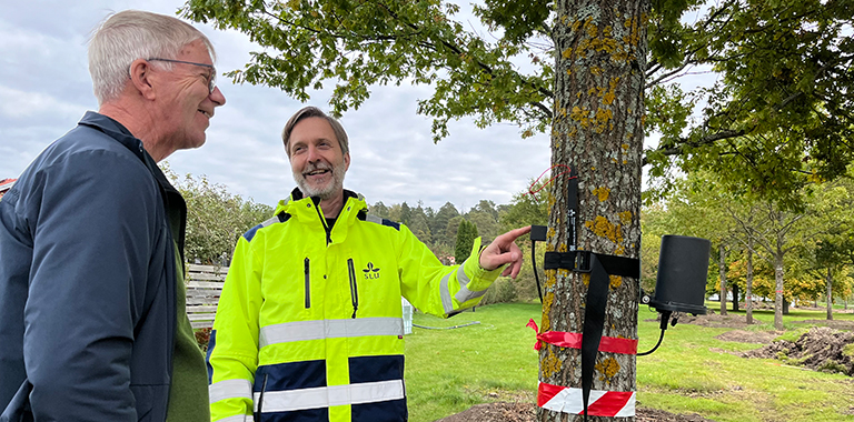 Petter Åkerblom visar mätutrustning på ett träd