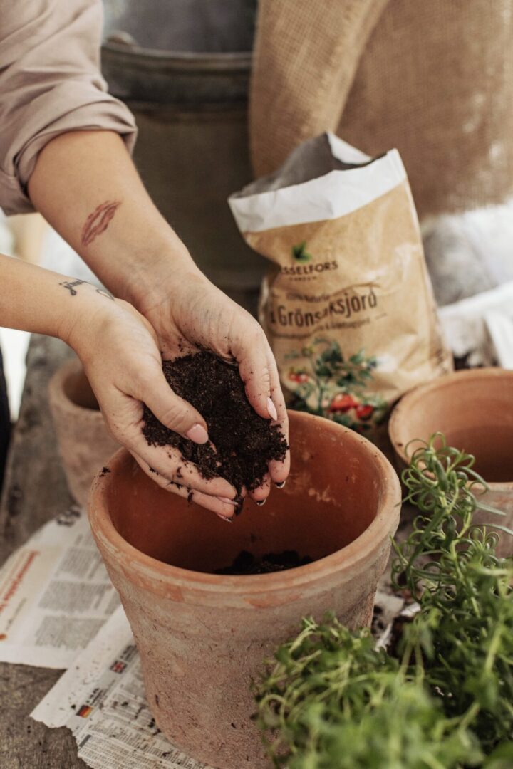 5 spännande frösorter att prova 2026