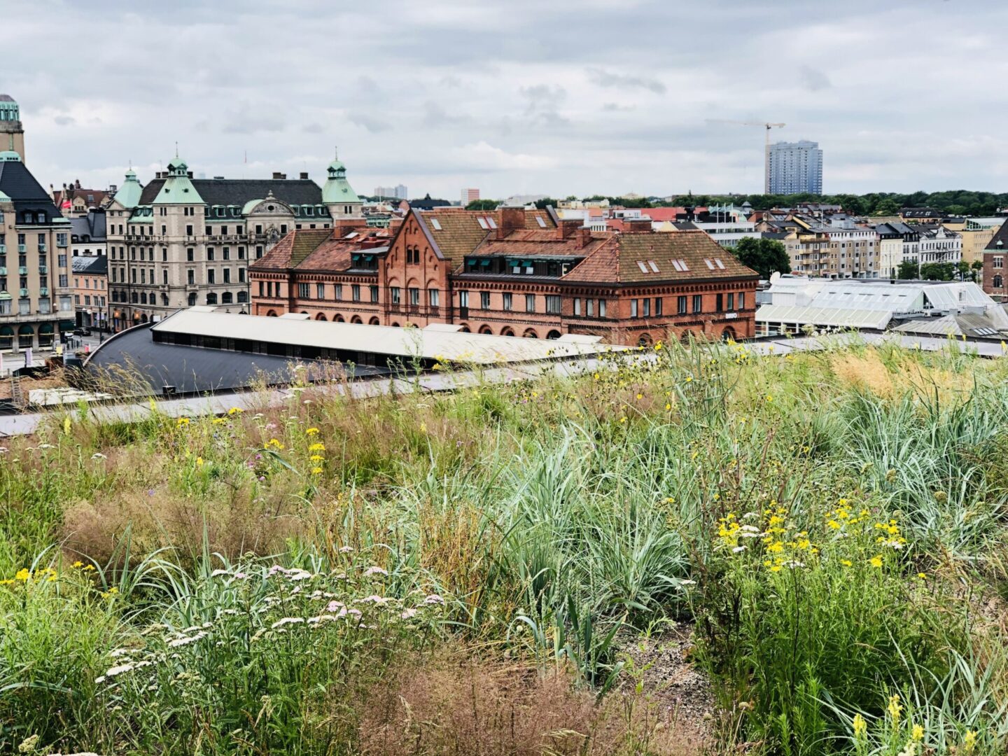 Vad är pimpstenssubstrat och när är det rätt val i stadsmiljö?